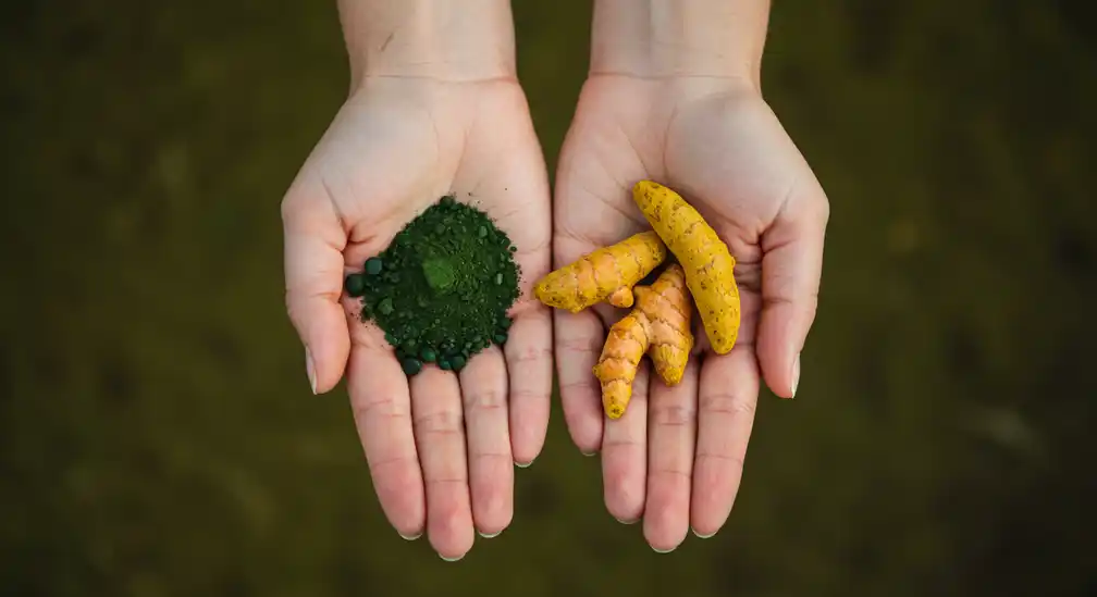 superfood diet